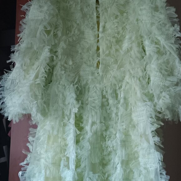 Fun & Flirty Lime Green Party Dress with Gingham and Fringe Accents - Picture 2 of 4